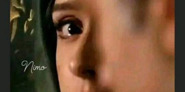 « سيره الجراح » للشاعرة شيماء محمد …