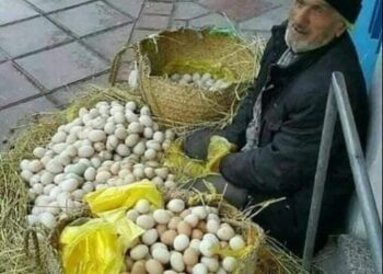 بـائـع الـبـيـض …