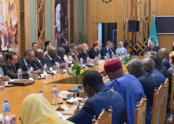 وزير الخارجية يلتقي السفراء الأفارقة بمناسبة يوم إفريقيا