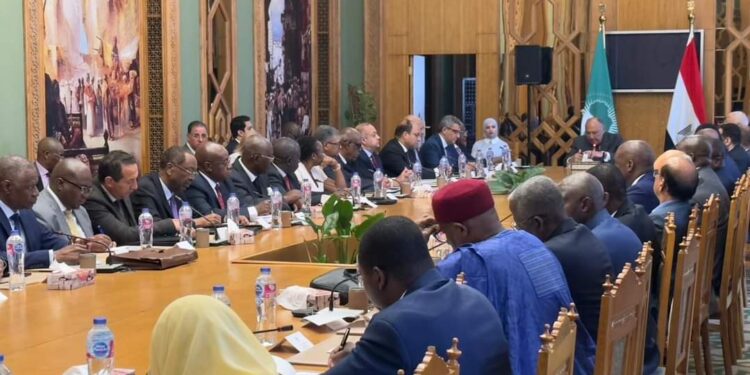 وزير الخارجية يلتقي السفراء الأفارقة بمناسبة يوم إفريقيا