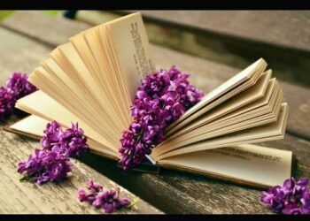 أنــانــيــة …