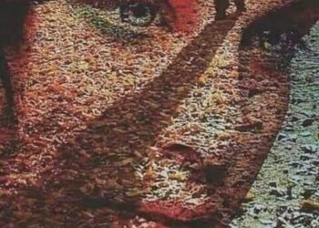 كهف الغياب …