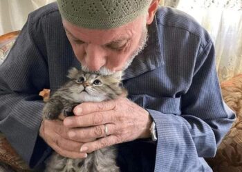 خواطر شيماء يوسف