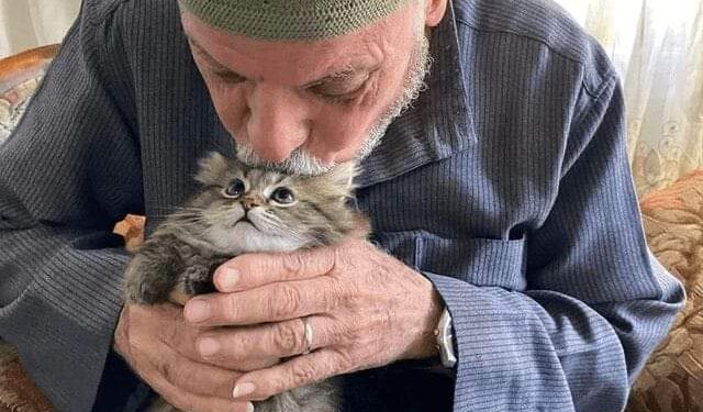 خواطر شيماء يوسف