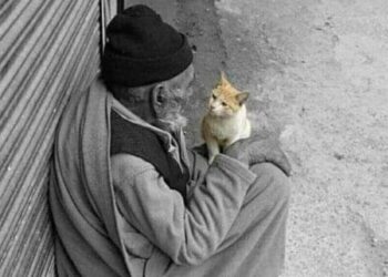 خواطر… شيماء يوسف