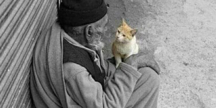 خواطر… شيماء يوسف