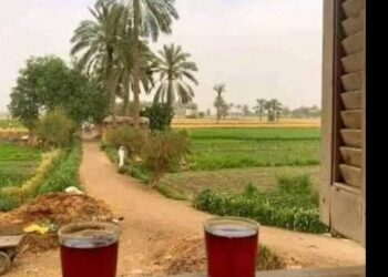 فتافيت حلم …