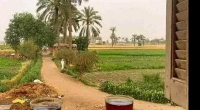 فتافيت حلم …