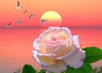 وظننتُ ان عبيرها …