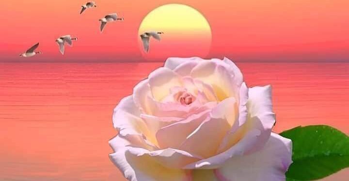 وظننتُ ان عبيرها …