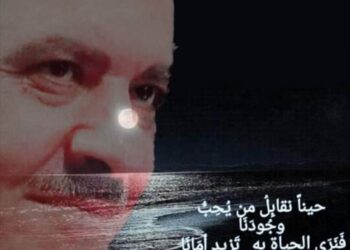 قَــرارُ السَّـعَـادة …