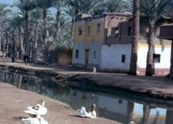 أنا الفلاح ومن بحرى ..