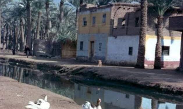 أنا الفلاح ومن بحرى ..