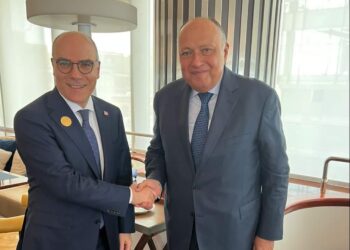 شكري يلتقى وزير الشئون الخارجية التونسي بجدة