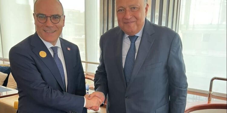شكري يلتقى وزير الشئون الخارجية التونسي بجدة