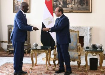 السيسي يستقبل وزير خارجية موريتانيا …