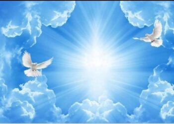 « لوغاريتم الروح » للشاعر عماد شكرى حجازى…