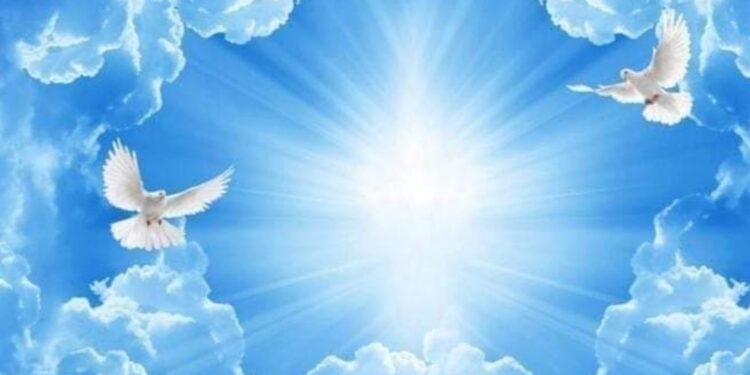 « لوغاريتم الروح » للشاعر عماد شكرى حجازى…