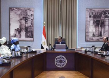 رئيس الوزراء يلتقي رئيسة المجلس الإستشاري للإتحاد الأفريقي