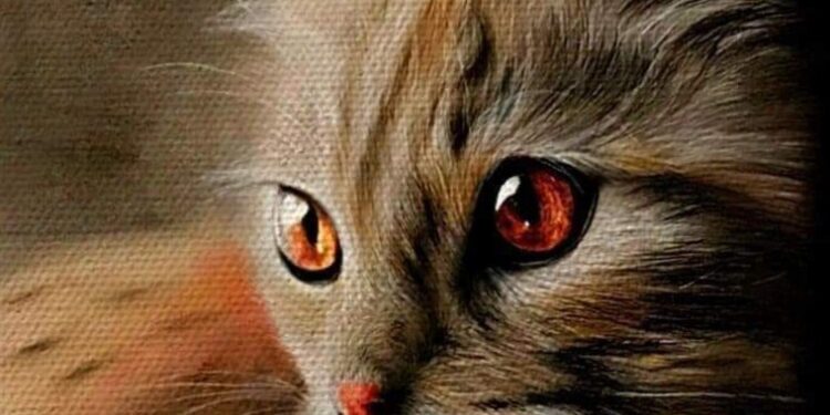 اشتقتيلي …