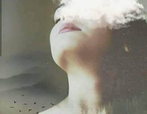 لايرحل ُ النخيل ُ …