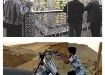 انت مين فى دول ……