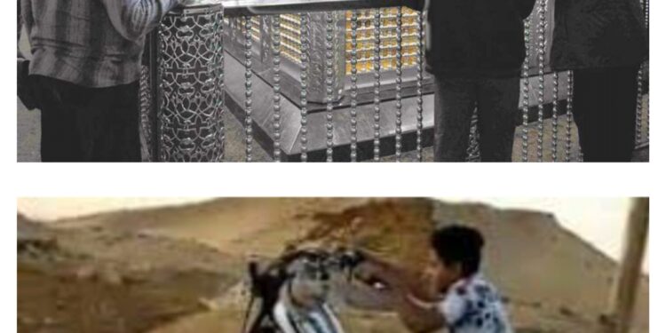 انت مين فى دول ……