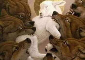 نعم أنا أغار …