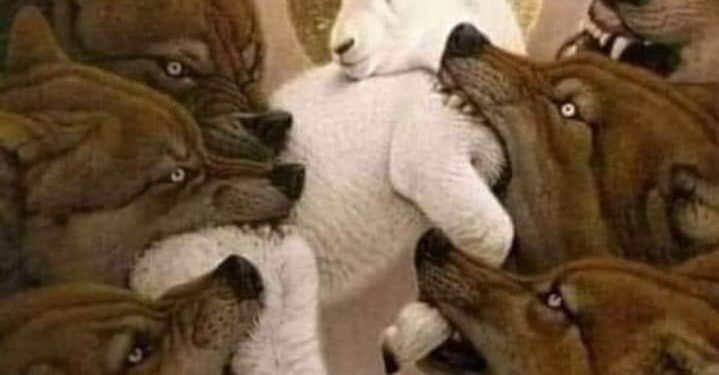 نعم أنا أغار …