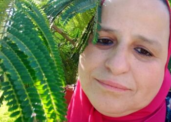 حبيبي بتقولي بحبك