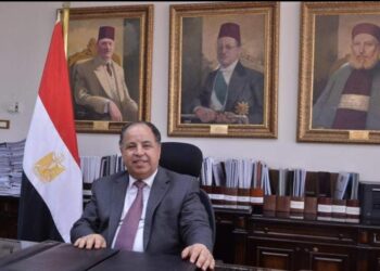 وزير المالية…آخر فرصة للانضمام لمبادرة «تيسير استيراد سيارات المصريين بالخارج» بعد غد