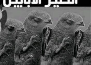 ماهو ألطَّيرِ الأبابيل …؟