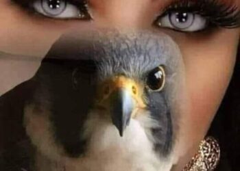 أنكرت لكن مُقلتاي …