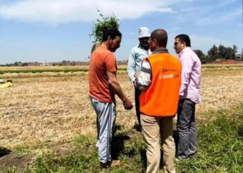 التضامن الإجتماعي …. الأنشطة التوعوية لصندوق مكافحة الإدمان تصل للمزارعين