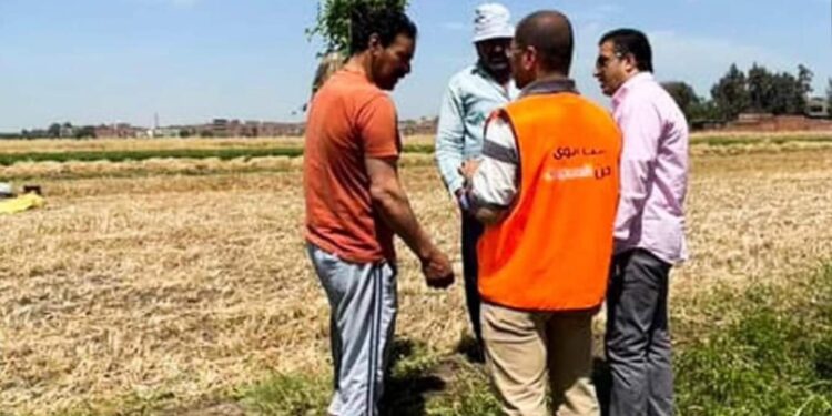 التضامن الإجتماعي …. الأنشطة التوعوية لصندوق مكافحة الإدمان تصل للمزارعين