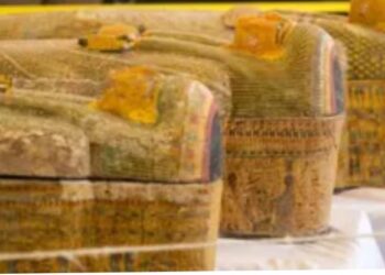 مصدر بـ«الآثار» عن كشف سقارة المرتقب: يضم مجموعة فريدة من المومياوات