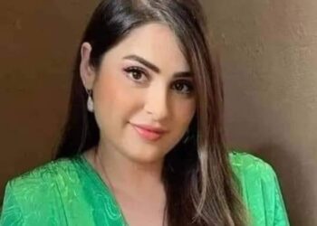 قالت : عشقت الشيب فيك