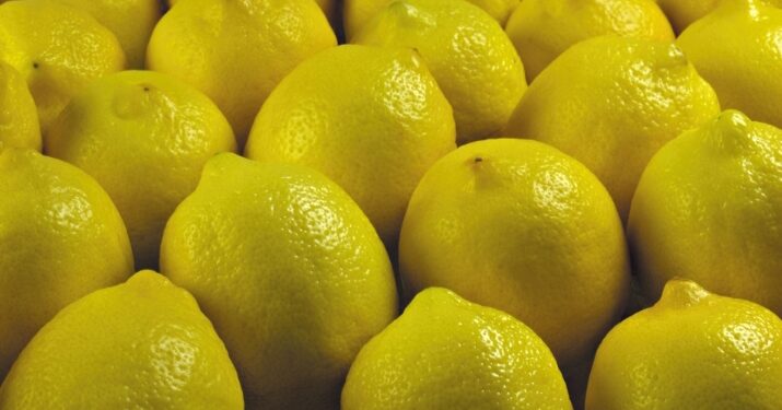 احدى عشر فائدة فى الليمون .