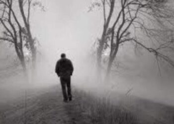 طائرُ الليل البعيد..