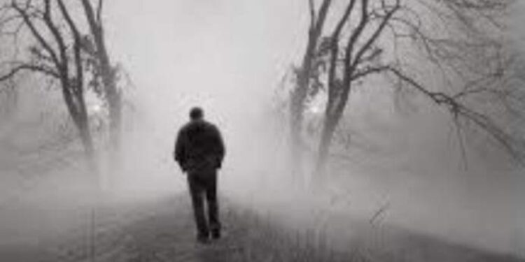 طائرُ الليل البعيد..