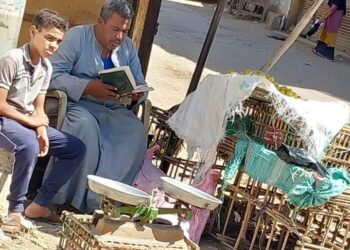 أهالي الضبعية يناشدون محافظ الأقصر بتوفير كشك للشيخ حمدي أبو الحسن للكسب الحلال للعيش بحياة كريمة.