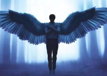 ستفت همى فى دنيتى