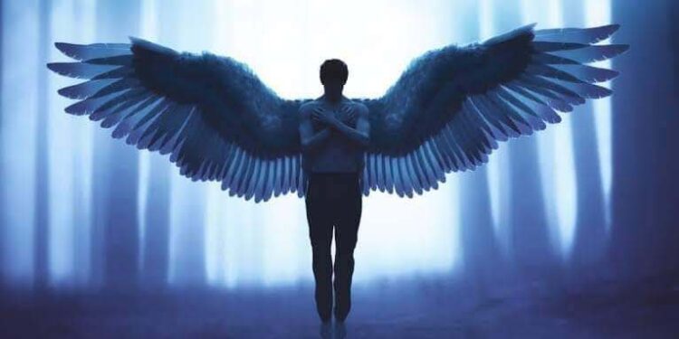 ستفت همى فى دنيتى