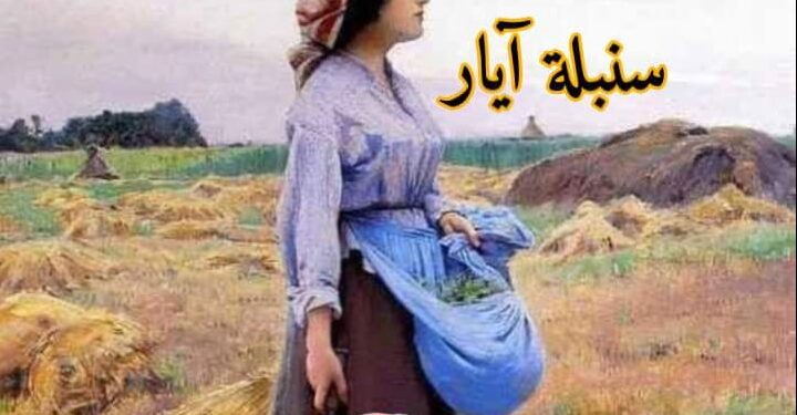 سنبلة آيــار …