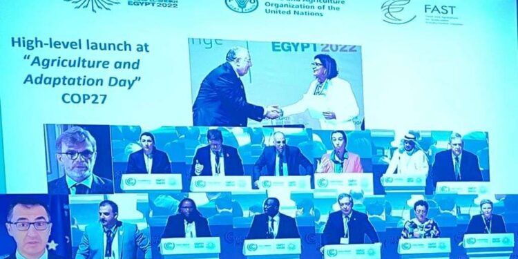 وزير الزراعة يشارك في جلسة الفاو بواشنطن