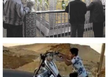 انت مين فى دول ……