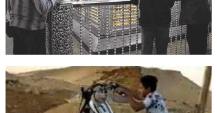 انت مين فى دول ……