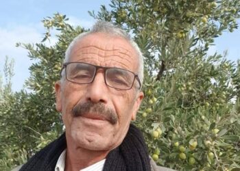 هذه مملكتي …