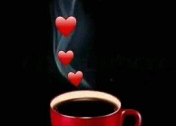 « عذرا حبيبى » بقلم … شهناز العبادي