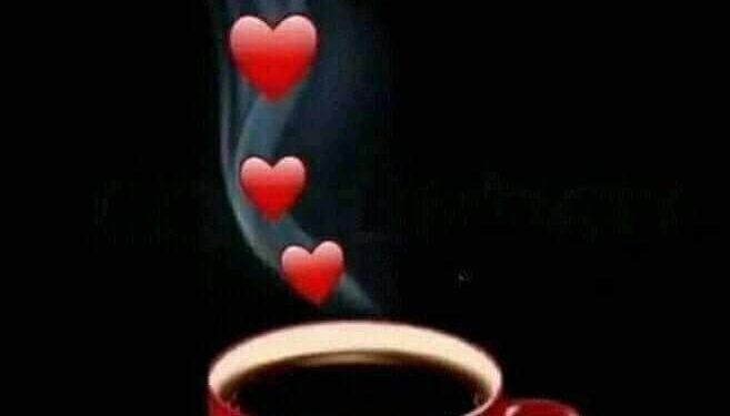 « عذرا حبيبى » بقلم … شهناز العبادي